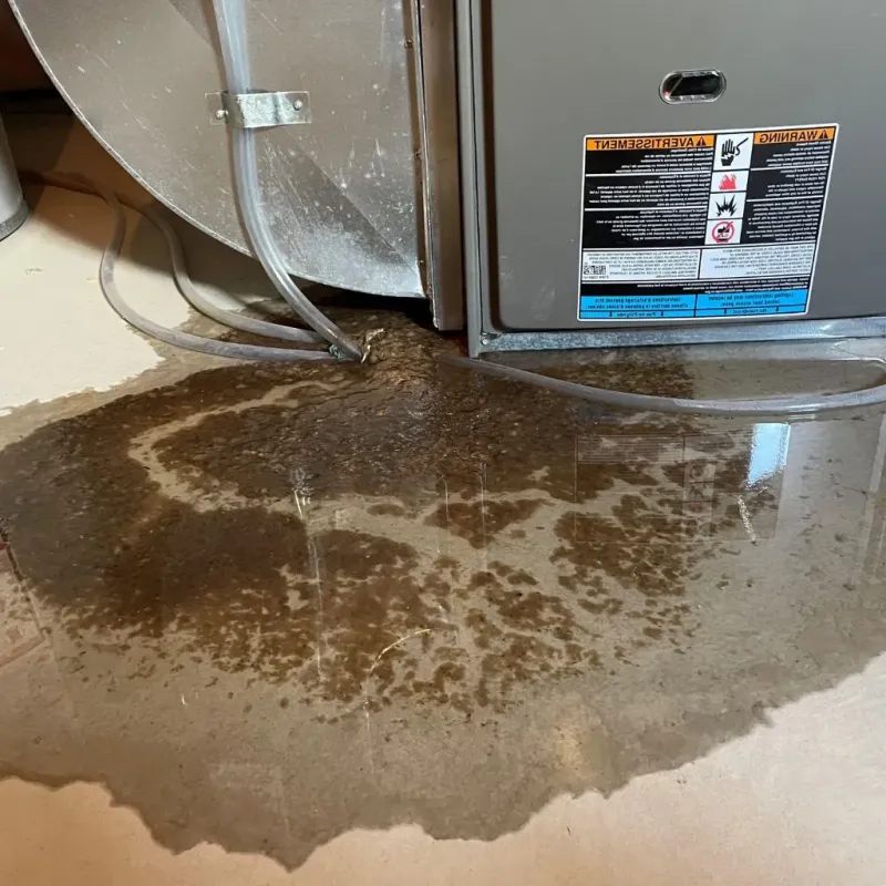 Pipe Burst and Leak Restoration in Telluride, CO